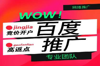 信息流广告投放策略优化：实战案例与数据支撑